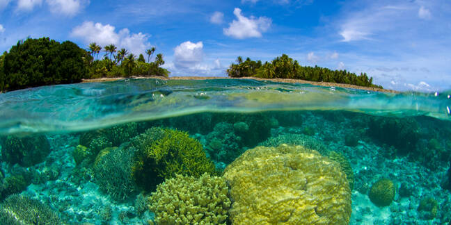 Coral reef over/under at the Marshall Islands