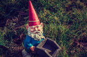 gnome