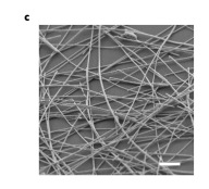 c, Scanning electron microscopy (SEM) image of a highly interconnected memristive NW network reservoir (scale bar, 2 μm).
