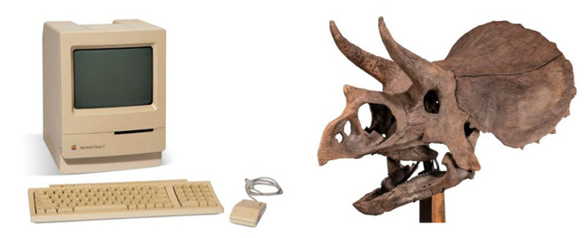 Macintosh Classic II and triceratops skull