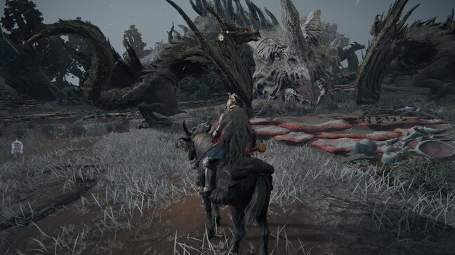 Found a huge sleeping dragon. Hit it until it died for about 50,000 runes