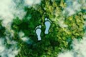 illustration of conceptual carbon footprint