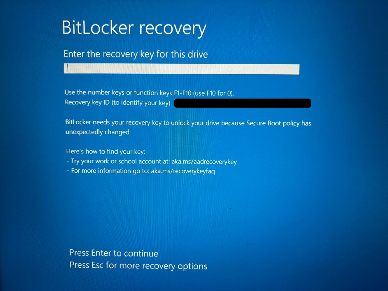 Turns into Exercise Fertile Microsoft Secure Boot fix sends PCs into BitLocker Recovery • The Register