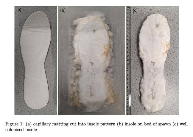 Fungal insoles