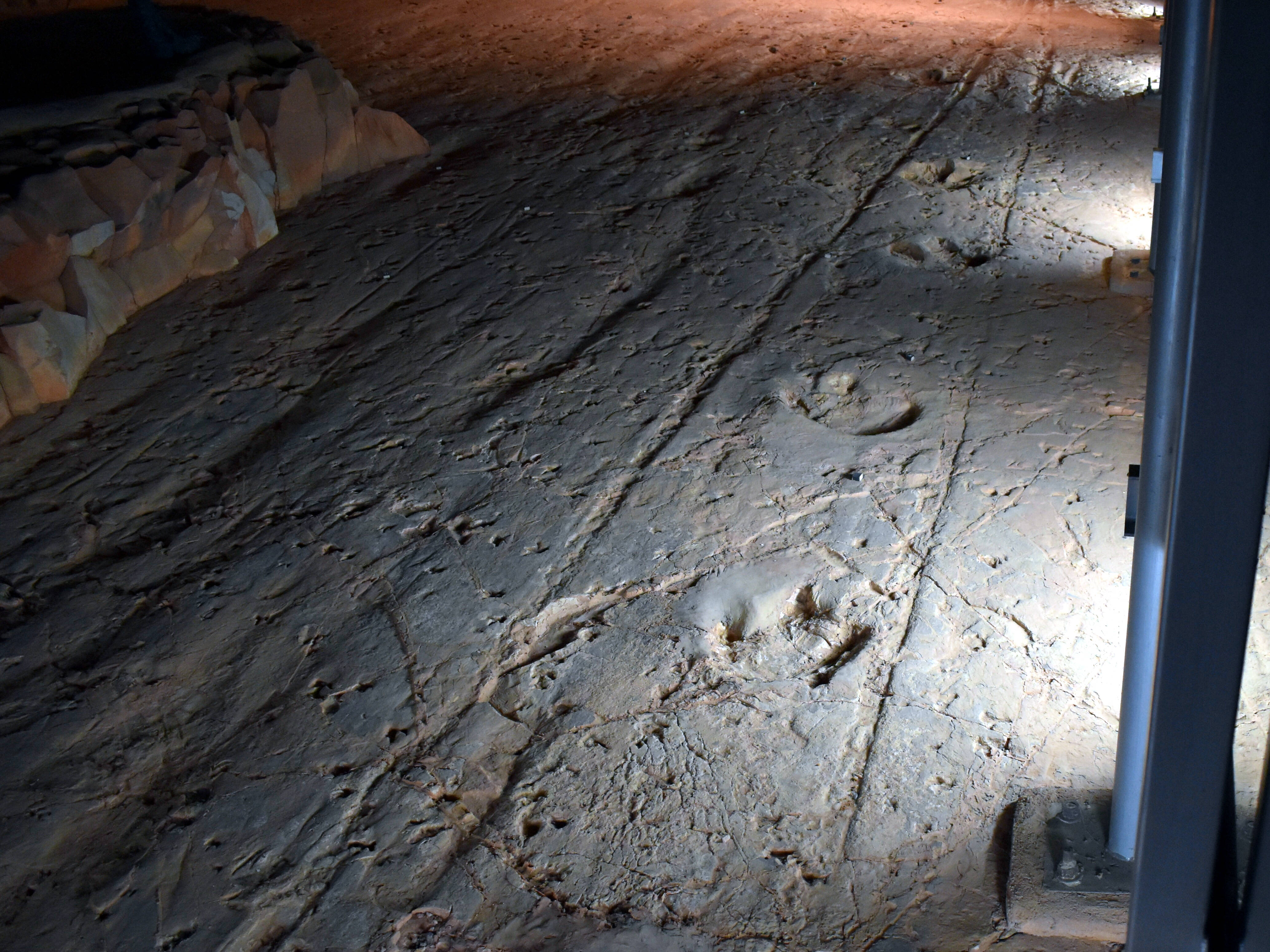 photo of AI analysis of dinosaur tracks suggests 'predator' may have been a herbivore image