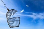 Escaping a birdcage in the clouds