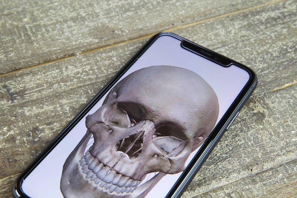 Aghast iOS users report long-deleted photos back from the dead after update • The Register