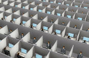 Endless rows of cubicles