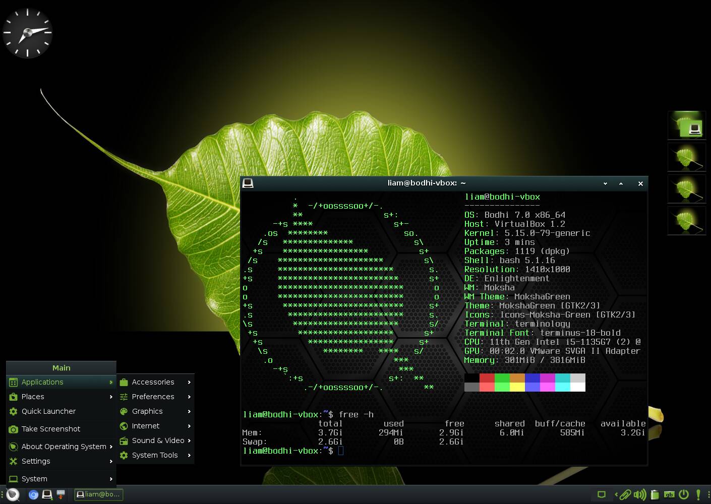 The default Moksha desktop is green and leafy. It doesn't work quite like anything else but its looks make up for that