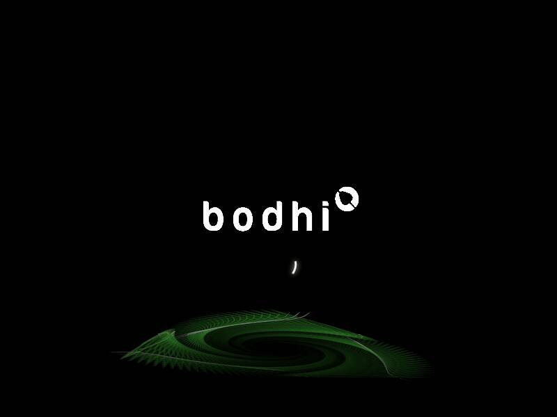 L'écran de chargement de Bodhi 7 est malheureusement relativement conventionnel et beaucoup moins sophistiqué que les feuilles tourbillonnantes de la version précédente.