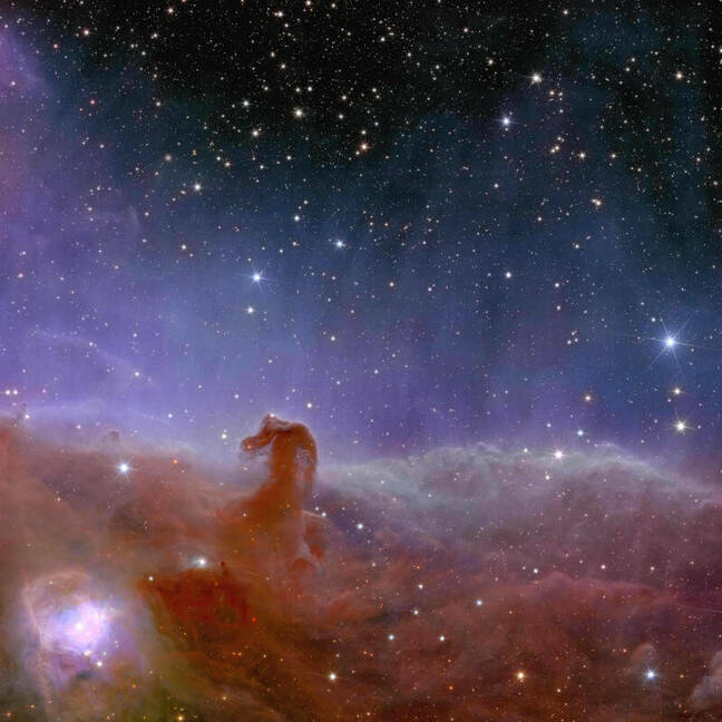 ESA handout of Horsehead nebula by Euclid