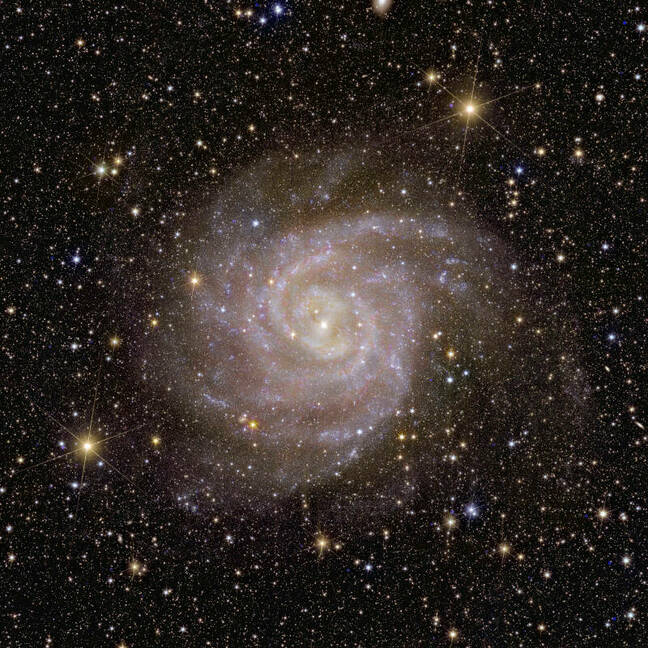 ESA handout of the spiral galaxy IC 342 by Euclid