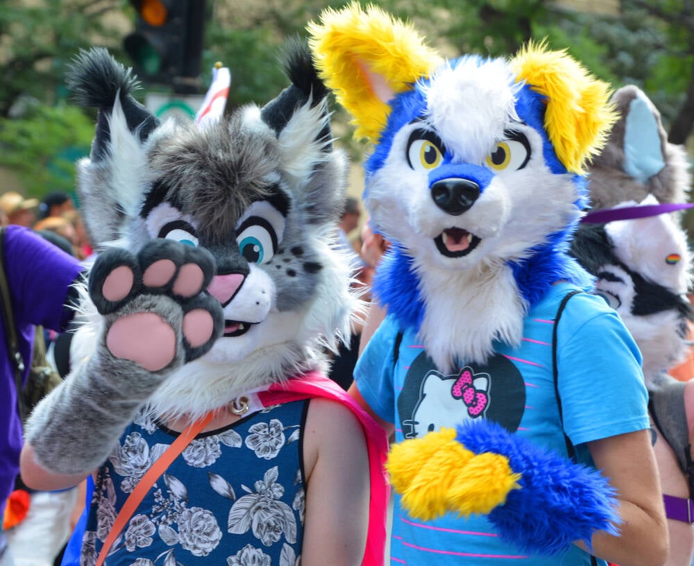 Gay Furries Hacked A Nuclear Lab To Demand Catgirl Research​