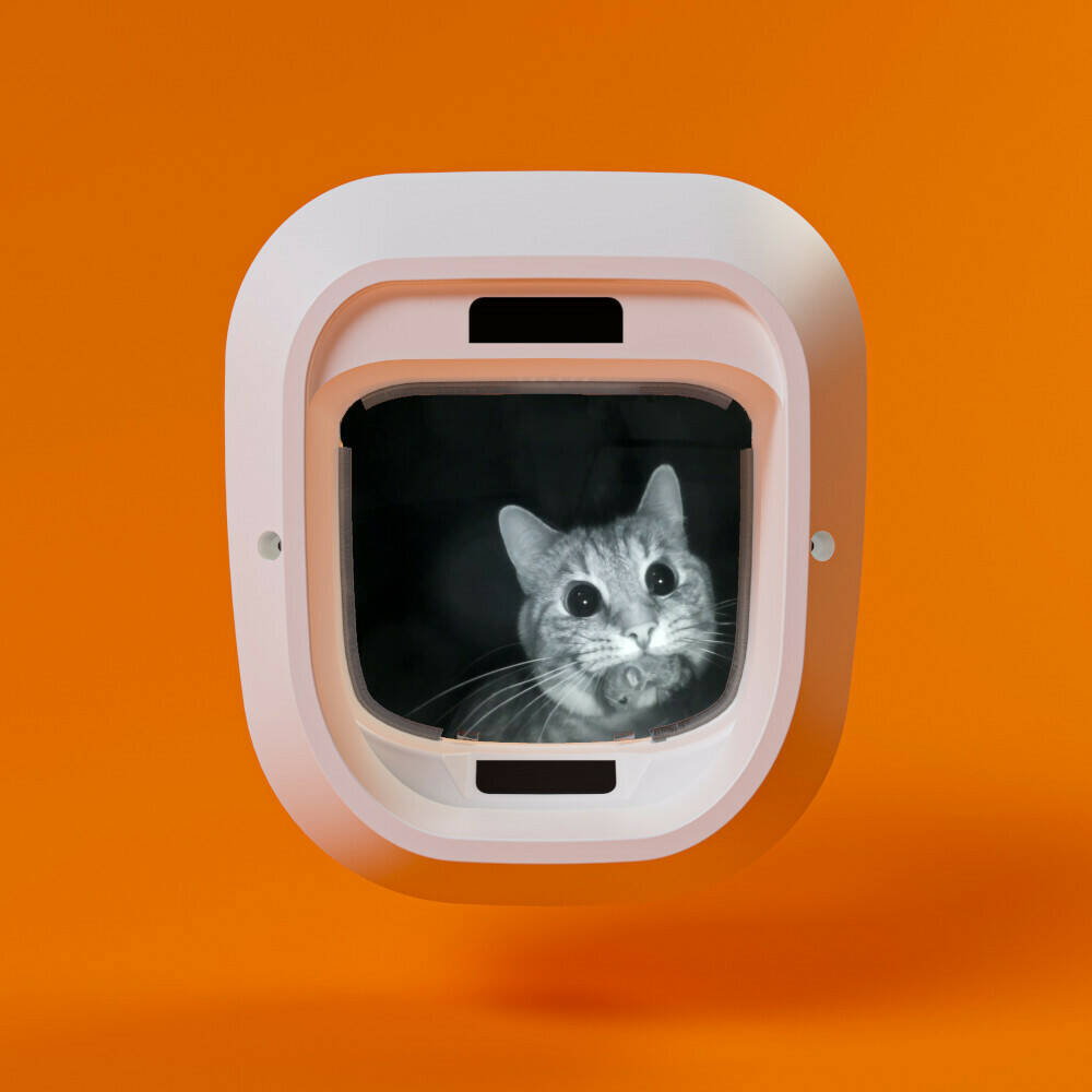 CES 2024 Let S All Gawk At Another Year Of Bizarre Tech The Register   Cat1 