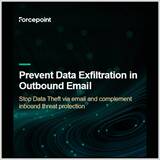 data-theft