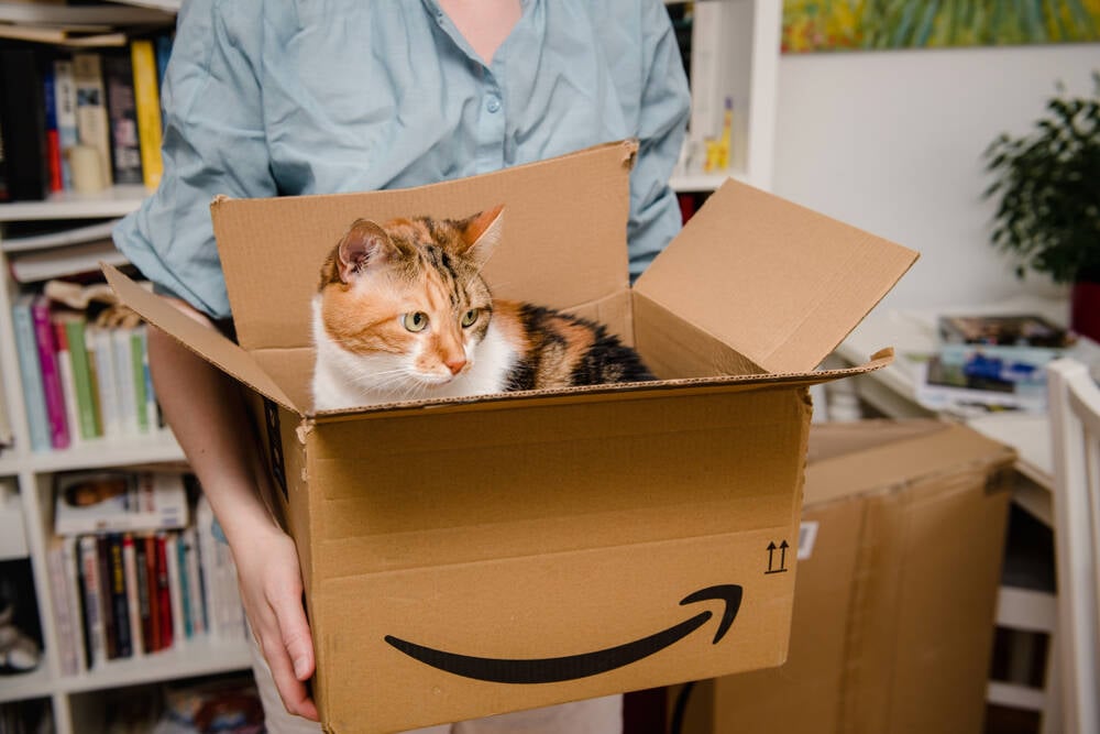 Amazon ordered to handle recall of vendors' faulty products • The Register