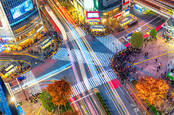 people choose crossing on road