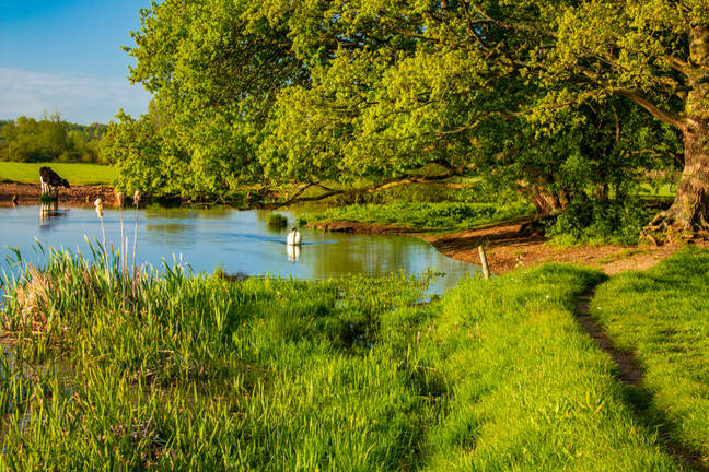 A lo largo del río Stour en Dedham Vale una mañana de mayo, John Constable Country, Suffolk East Anglia Inglaterra