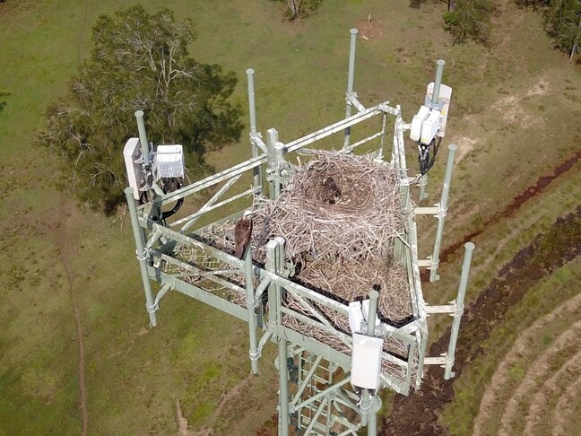 Good luck maintaining this tower