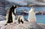 PostgreSQL open source conceptual illustration (penguins against DB)