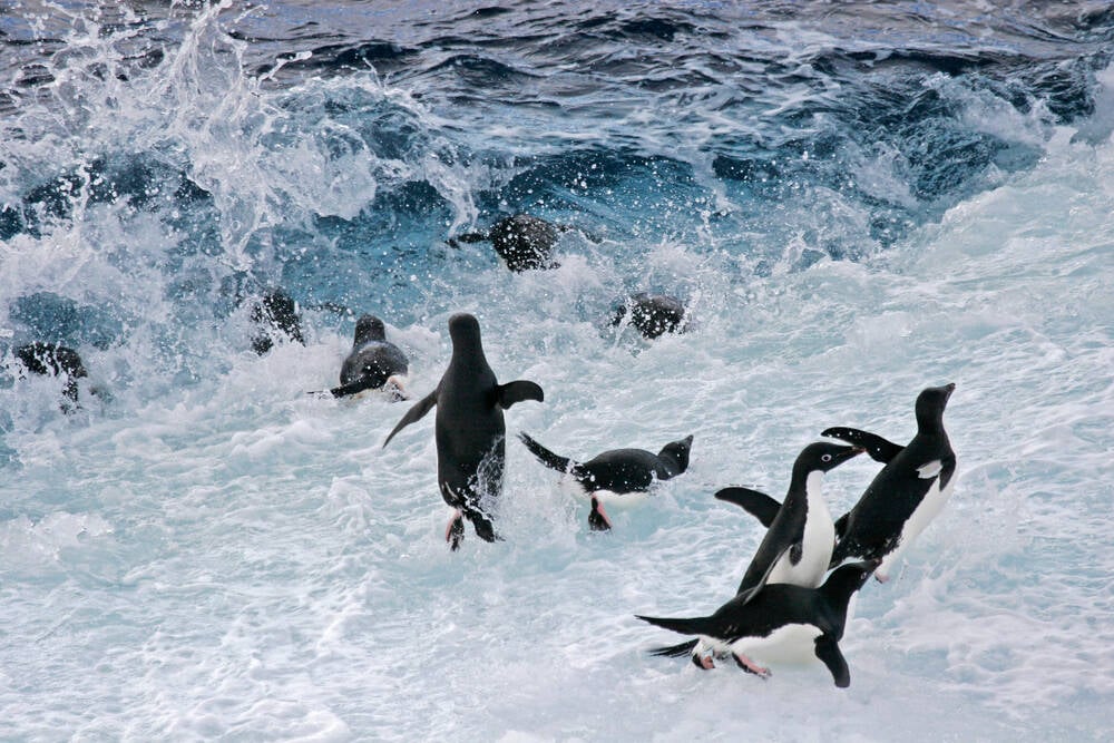 Arrival of Linux 6.15 hails end of 486-class CPUs