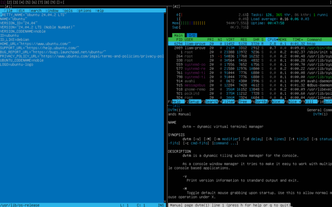 Dvtm, showing its status bar at the top, Tilde, Htop, and its manpage.