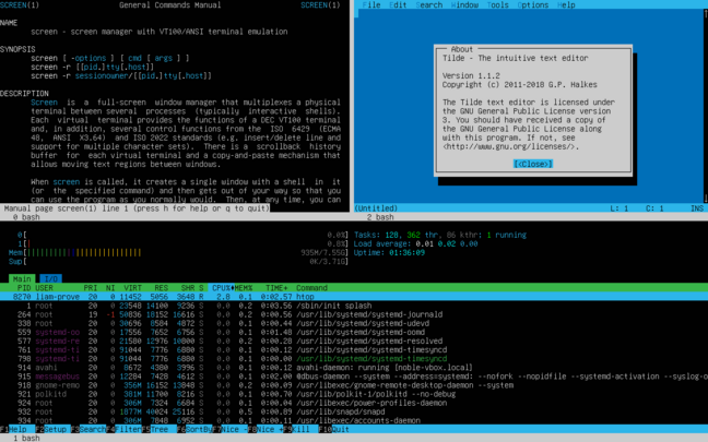 GNU screen on Ubuntu Noble, showing Tilde, htop and its own manual page.