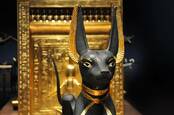 anubis guards