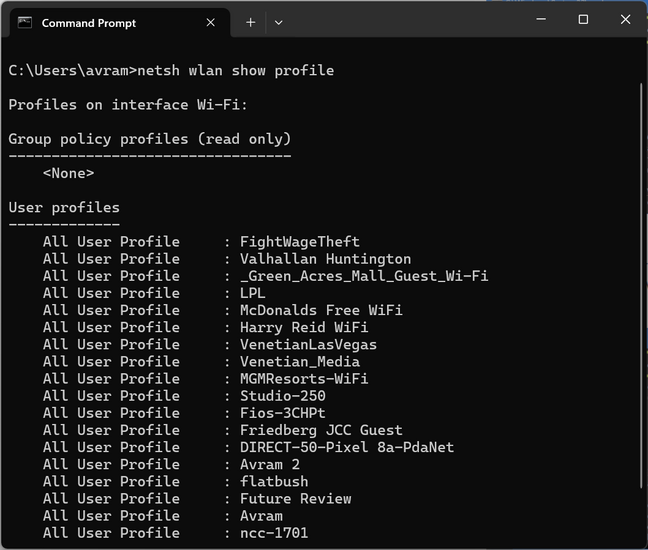 netsh wlan show profile
