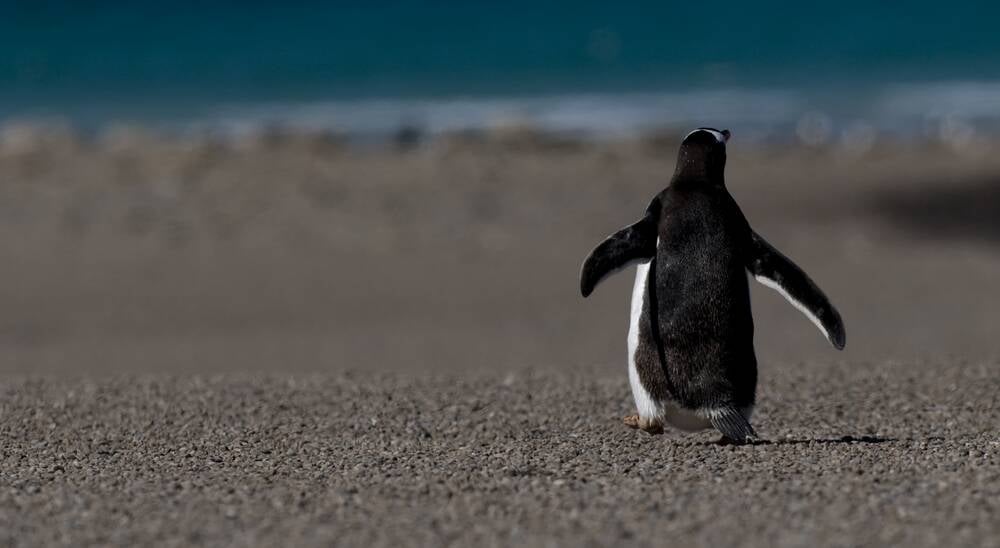 OpenSUSE dropping bcachefs support from next kernel version