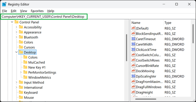 Navigate to HKEY_CURRENT_USER\Control Panel\Desktop