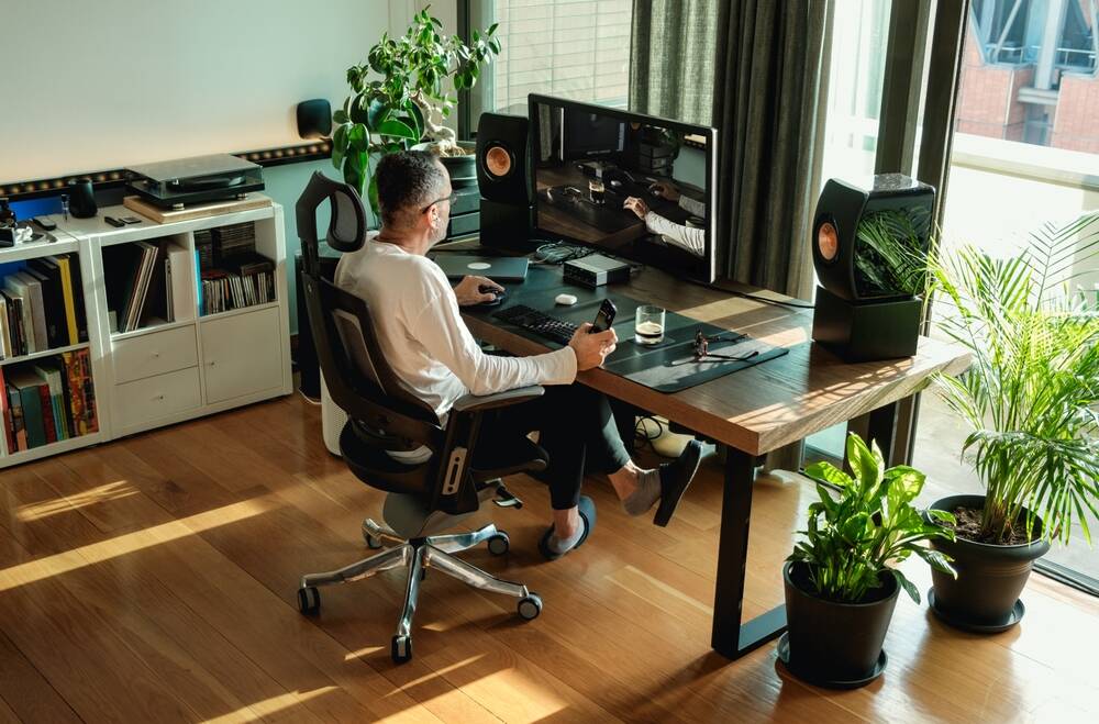 Slow Wi-Fi? Add houseplants to the list of suspects
