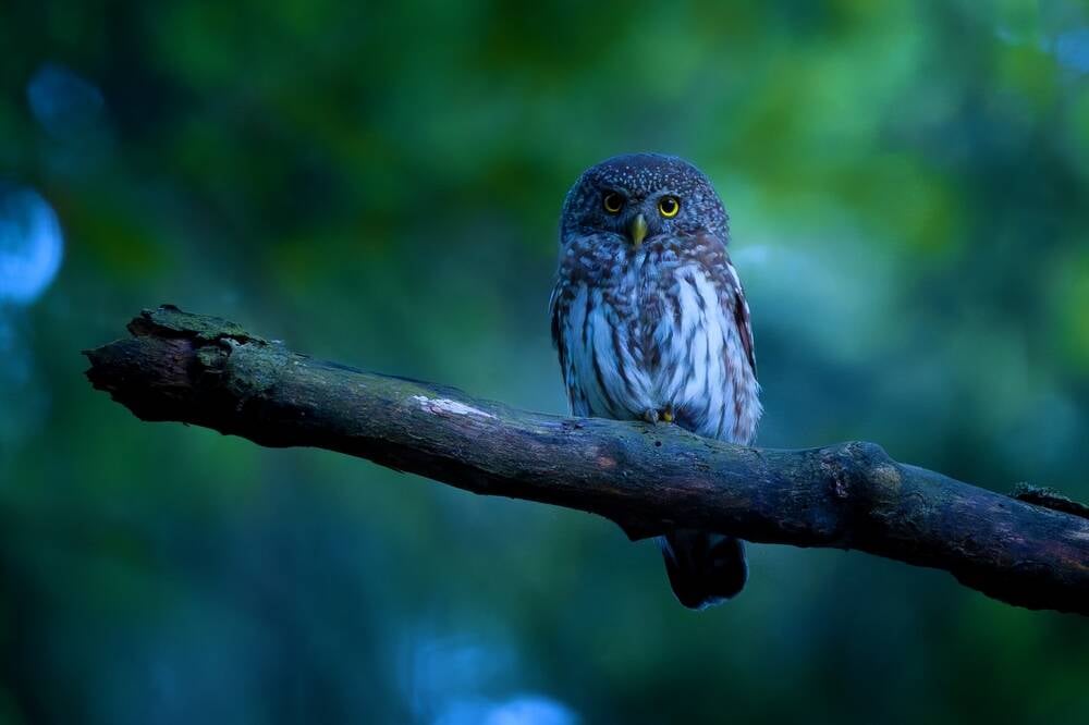Meta convinces Blue Owl to cut $30B check for Hyperion DC