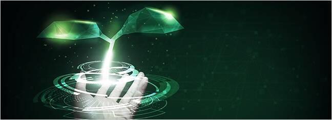 How ZTE turns green goals into climate action that works