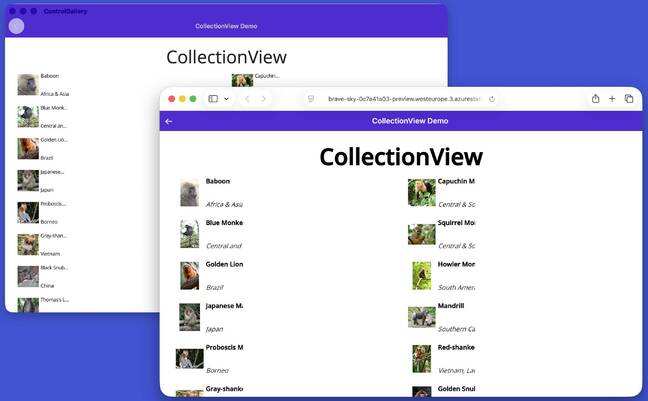 Browser-based MAUI running alongside Mac Catalyst MAUI