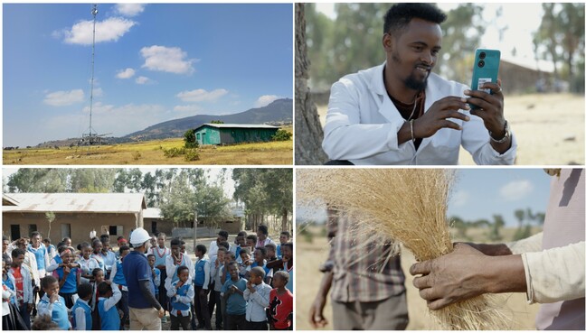 zte-signal-reach-program