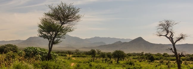 ZTE's Signal Reach Program in Africa advances digital inclusion with sustainable networks in Ethiopia