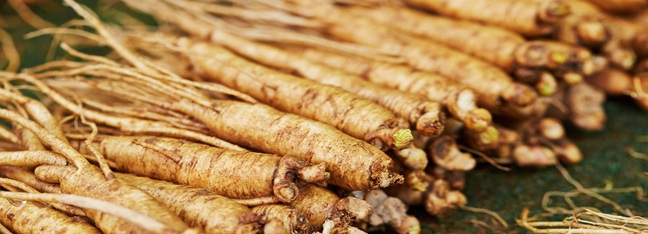 ZTE and China Unicom Jilin enable digital inclusion through 5G uplink enhancement at world's largest ginseng market