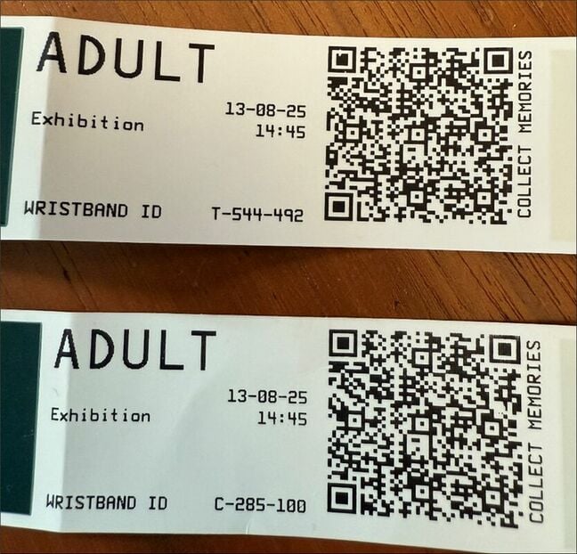 The Carlsberg Experience wristbands (Pen Test Partners) The Carlsberg Experience wristbands (Pen Test Partners)