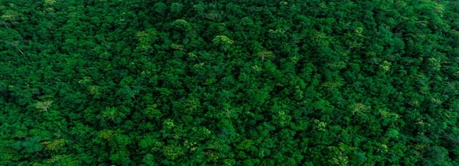 ZTE earns CDP Climate A list recognition for third year