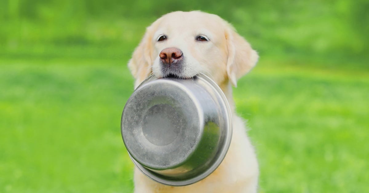 SUSE Reveals Use Of Microsoft Services