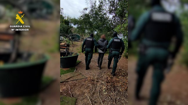 Suspected Anonymous members detained in Spain over post-flood DDoS blitz