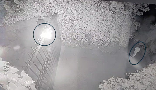 Man suspected of Molotov attack on Sam Altman's home charged with attempted murder