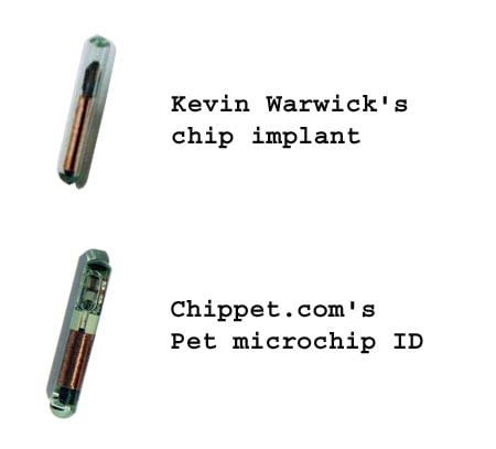 A comparison of the two chips